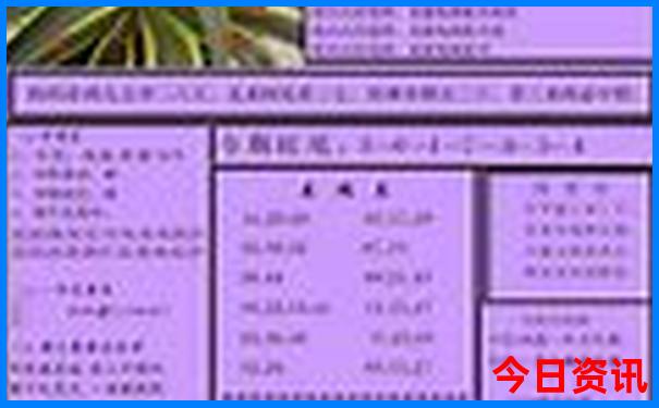 夏天去哪旅游好玩不热